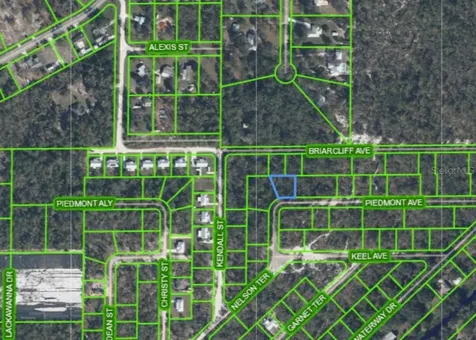 4606 Piedmont Avenue Sebring FL 33875