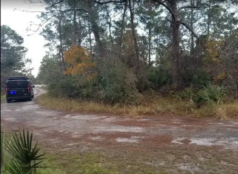4606 Piedmont Avenue Sebring FL 33875