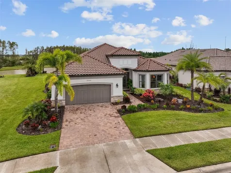 29322 Ginnetto Drive Wesley Chapel FL 33543