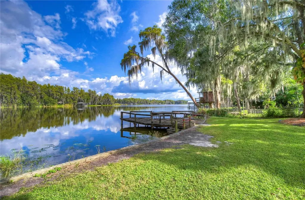 21872 Pineywood Loop Land O Lakes FL 34639