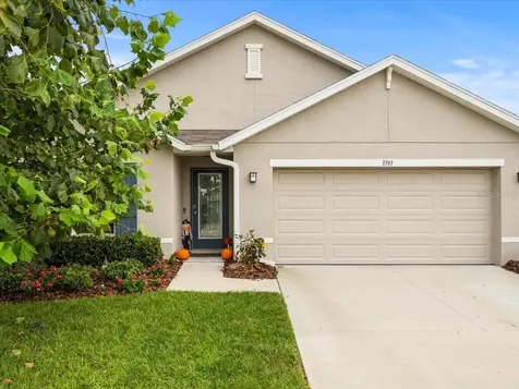 3393 Autumn Amber Drive Spring Hill FL 34609