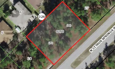 9206 N Citrus Springs Boulevard Citrus Springs FL 34433