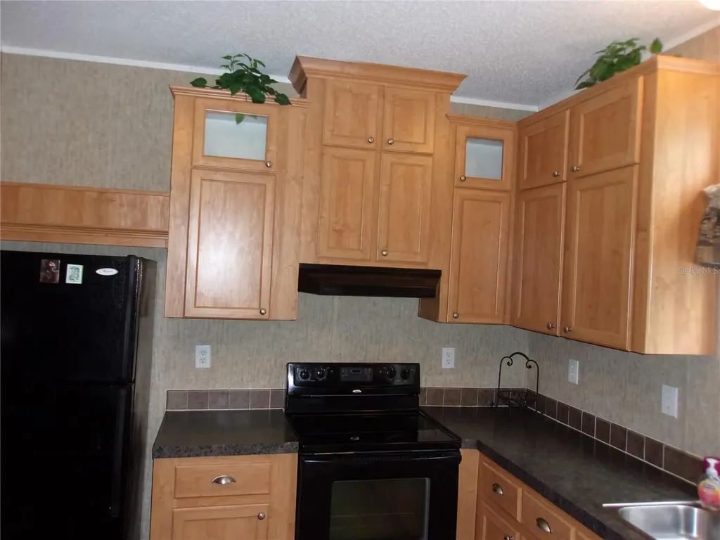 8518 NE 154th Avenue Silver Springs FL 34488