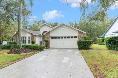 9013 Quail Creek Drive Tampa FL 33647