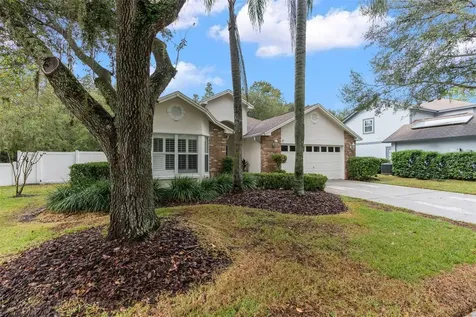 9013 Quail Creek Drive Tampa FL 33647
