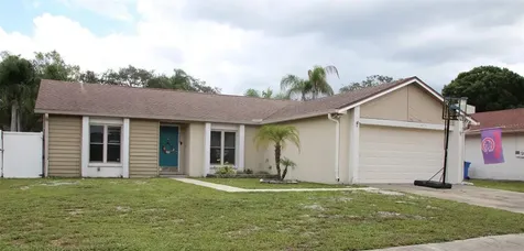 5359 Black Pine Drive Tampa FL 33624