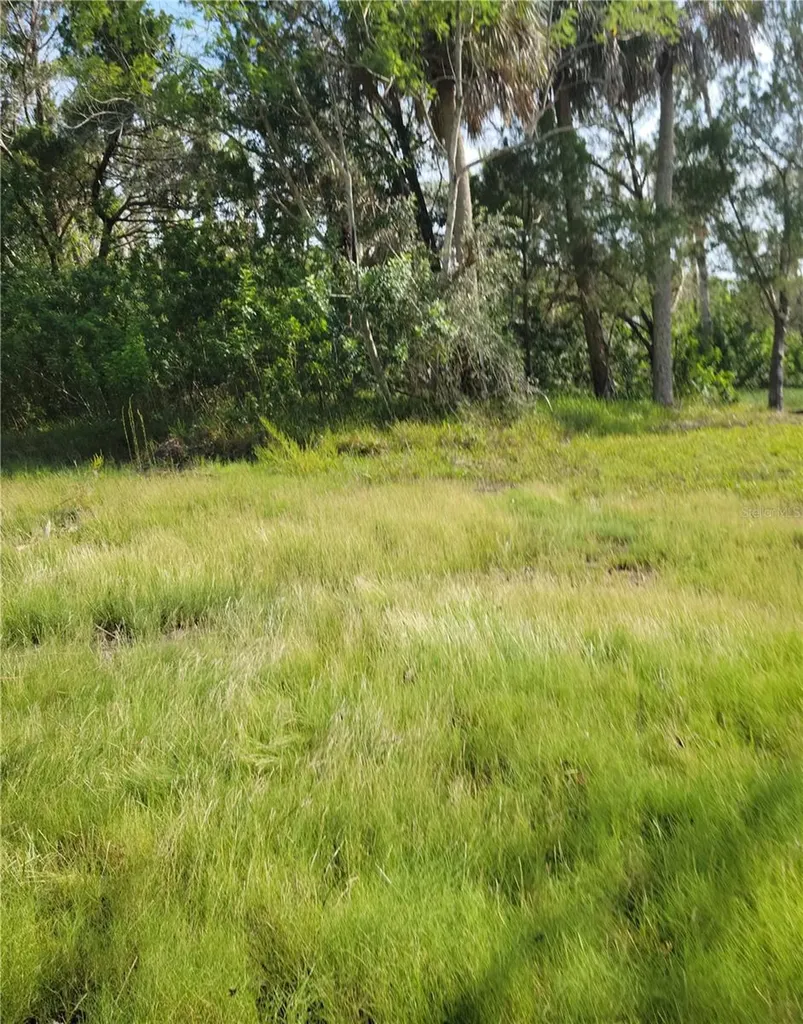 14301 W Seashell Court Crystal River FL 34429