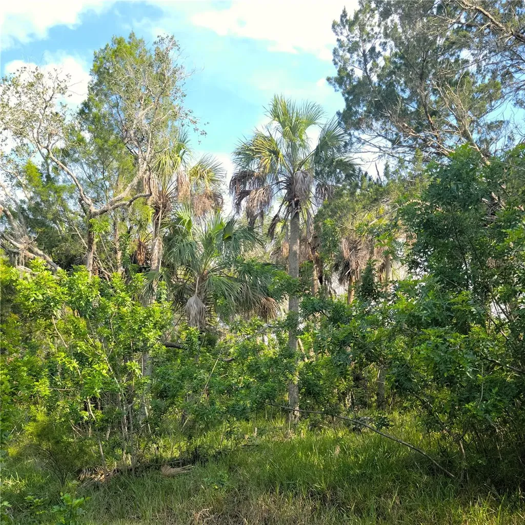 14301 W Seashell Court Crystal River FL 34429