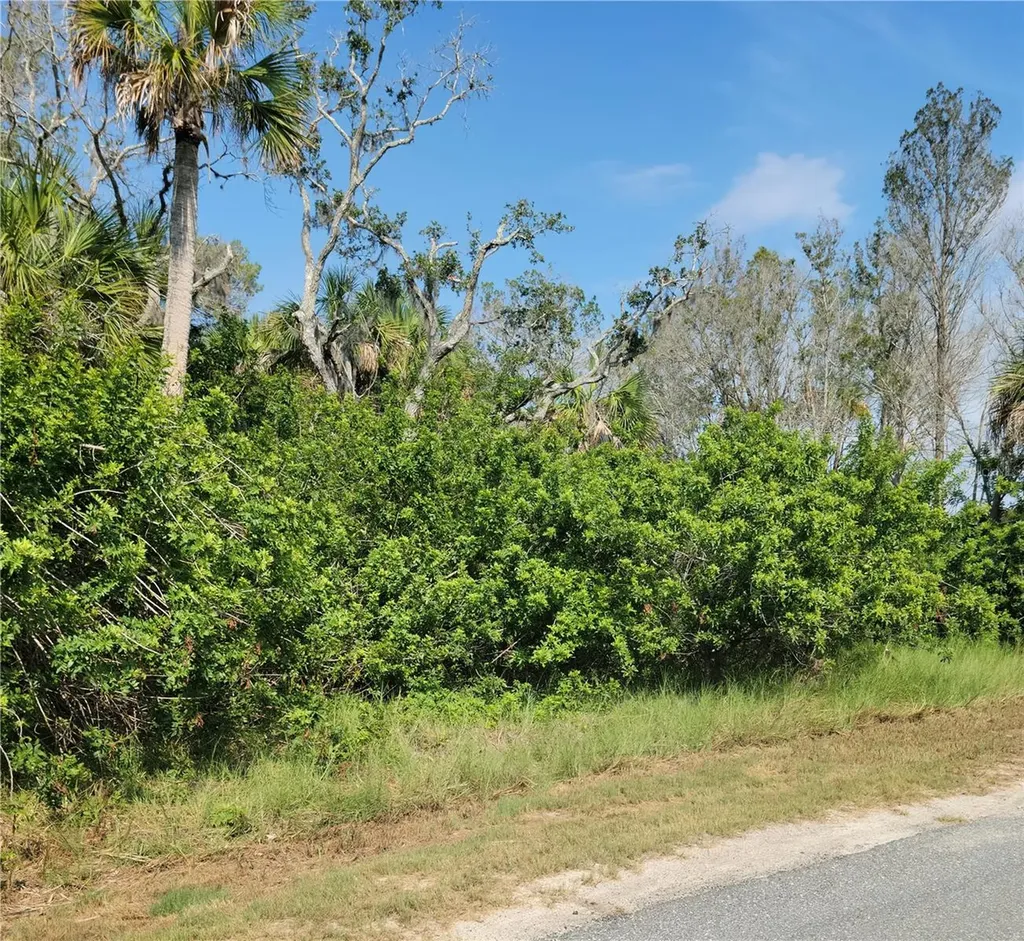 14301 W Seashell Court Crystal River FL 34429