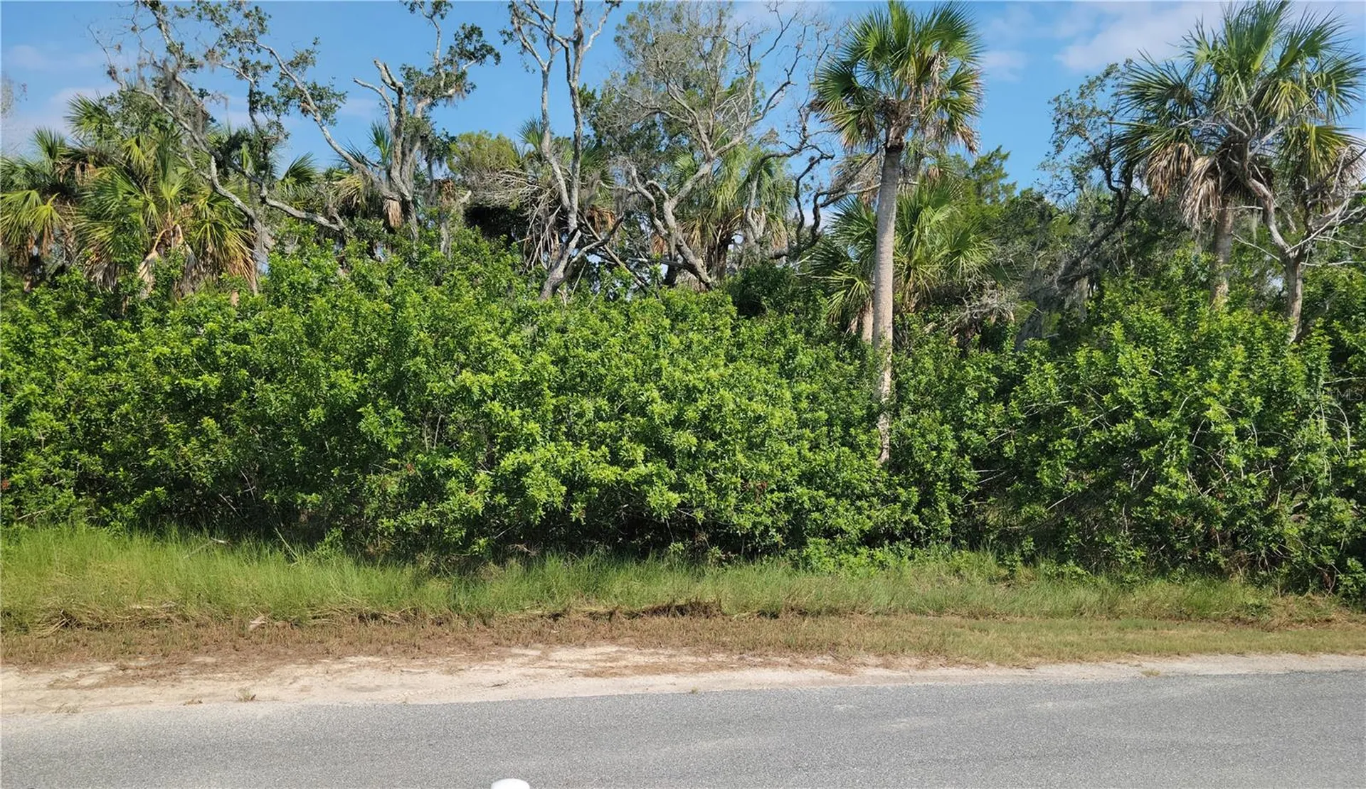 14301 W Seashell Court Crystal River FL 34429