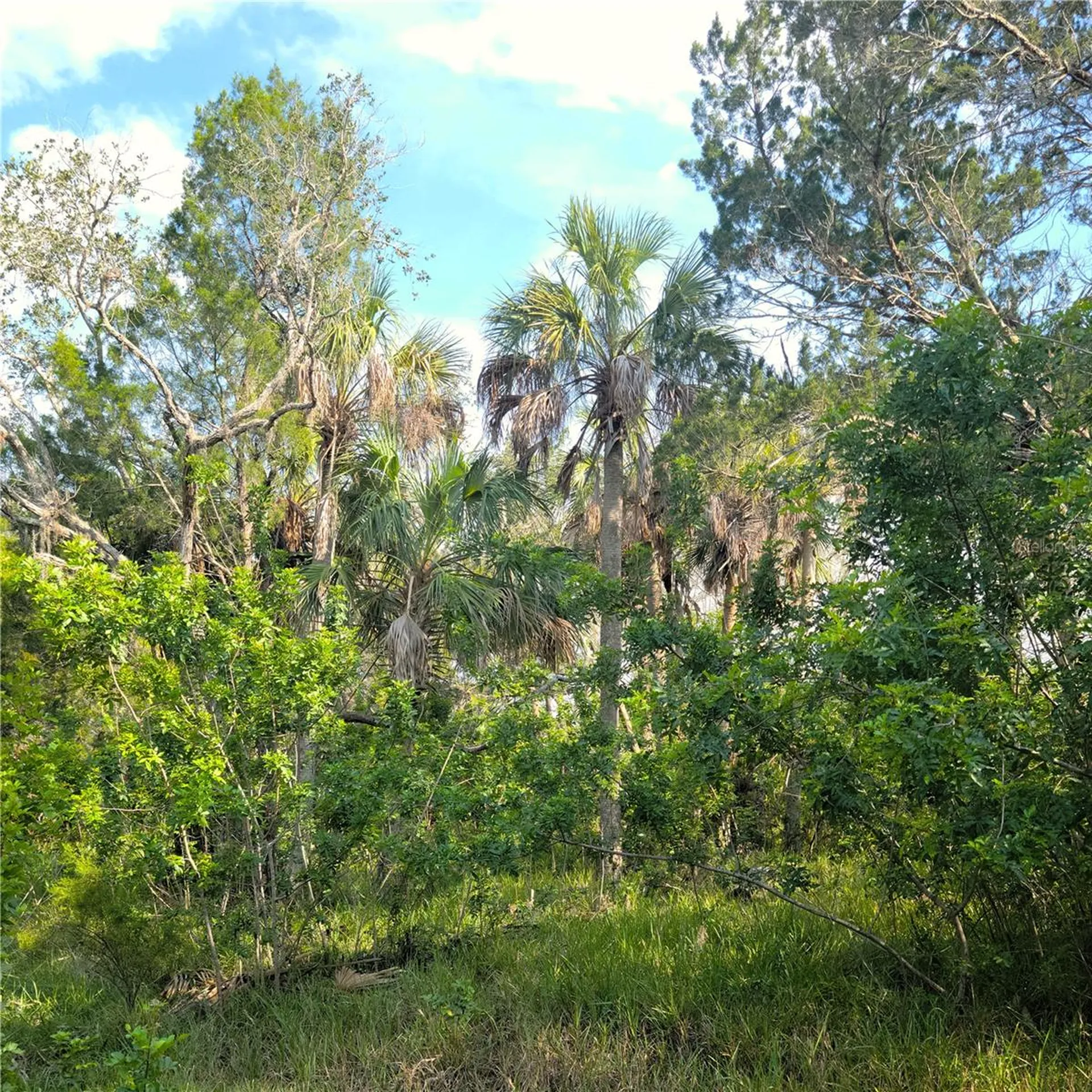 14301 W Seashell Court Crystal River FL 34429
