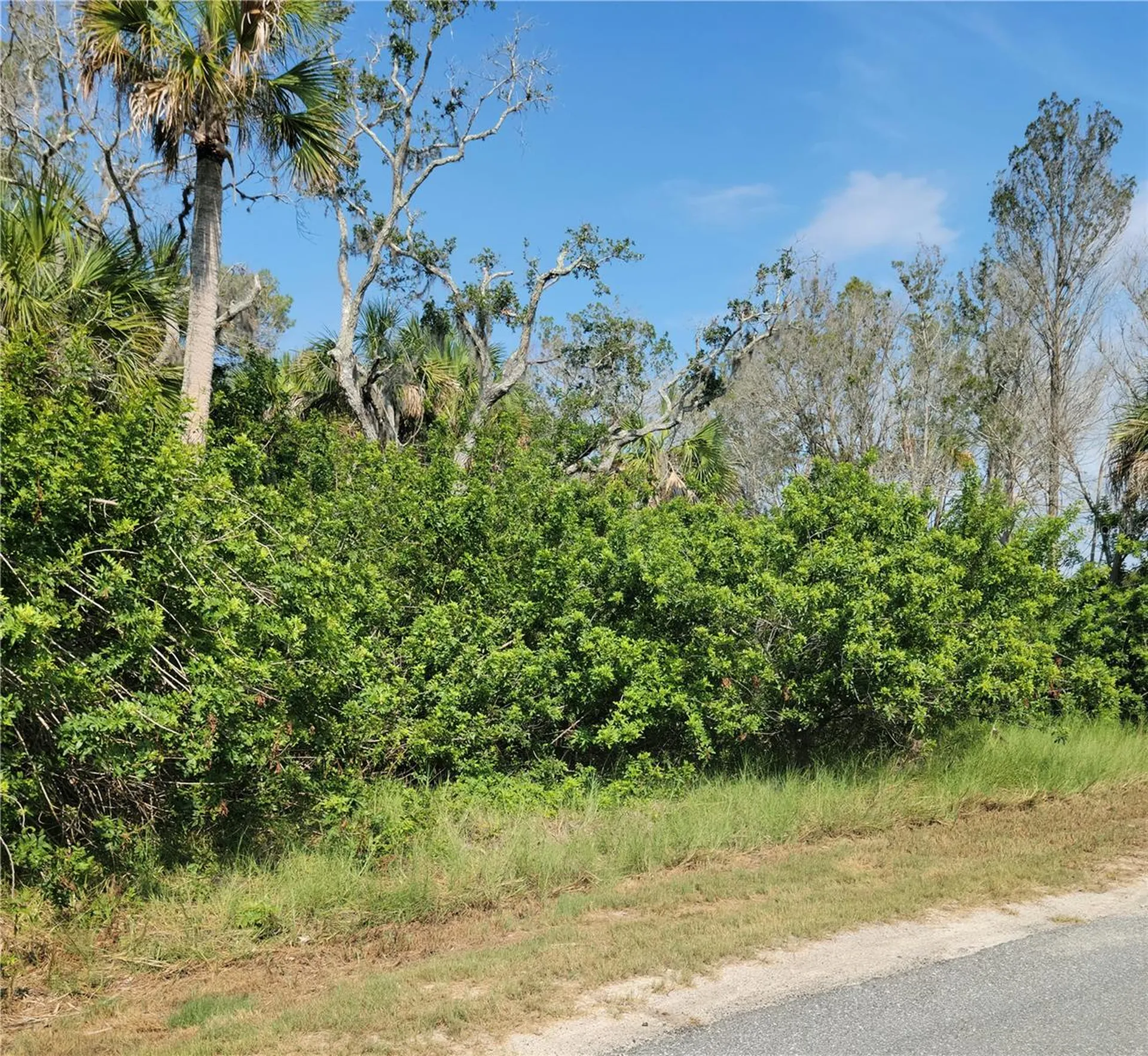 14301 W Seashell Court Crystal River FL 34429