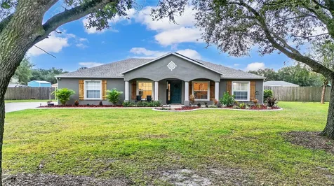 9335 Barrington Oaks Drive Dover FL 33527