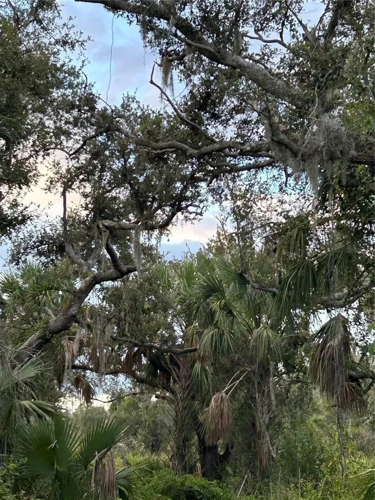 29431 Nottingham Road Punta Gorda FL 33982
