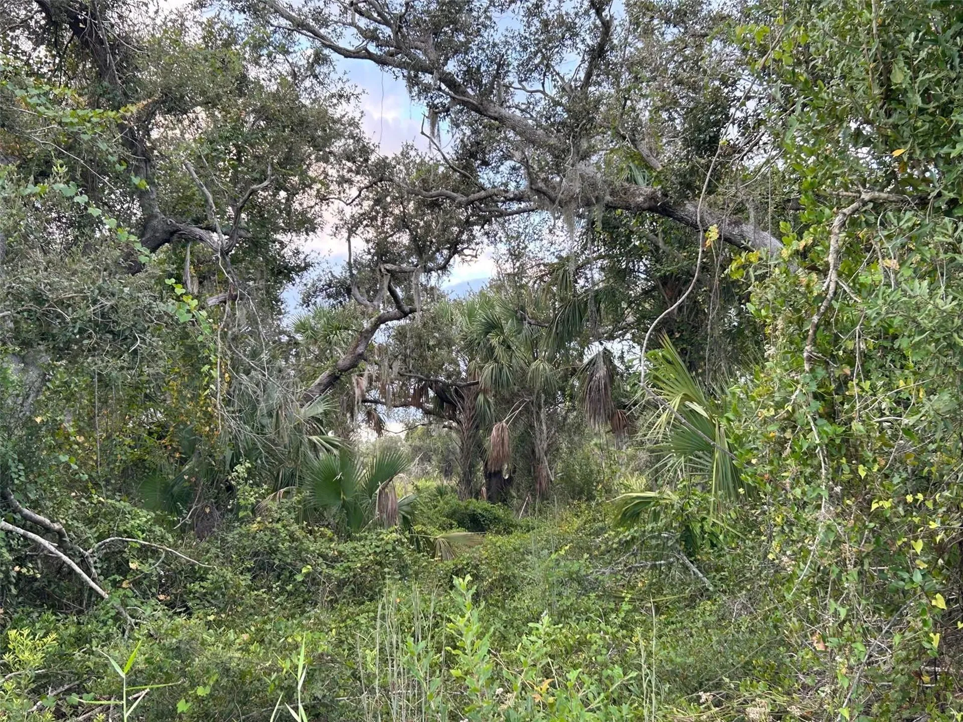 29431 Nottingham Road Punta Gorda FL 33982