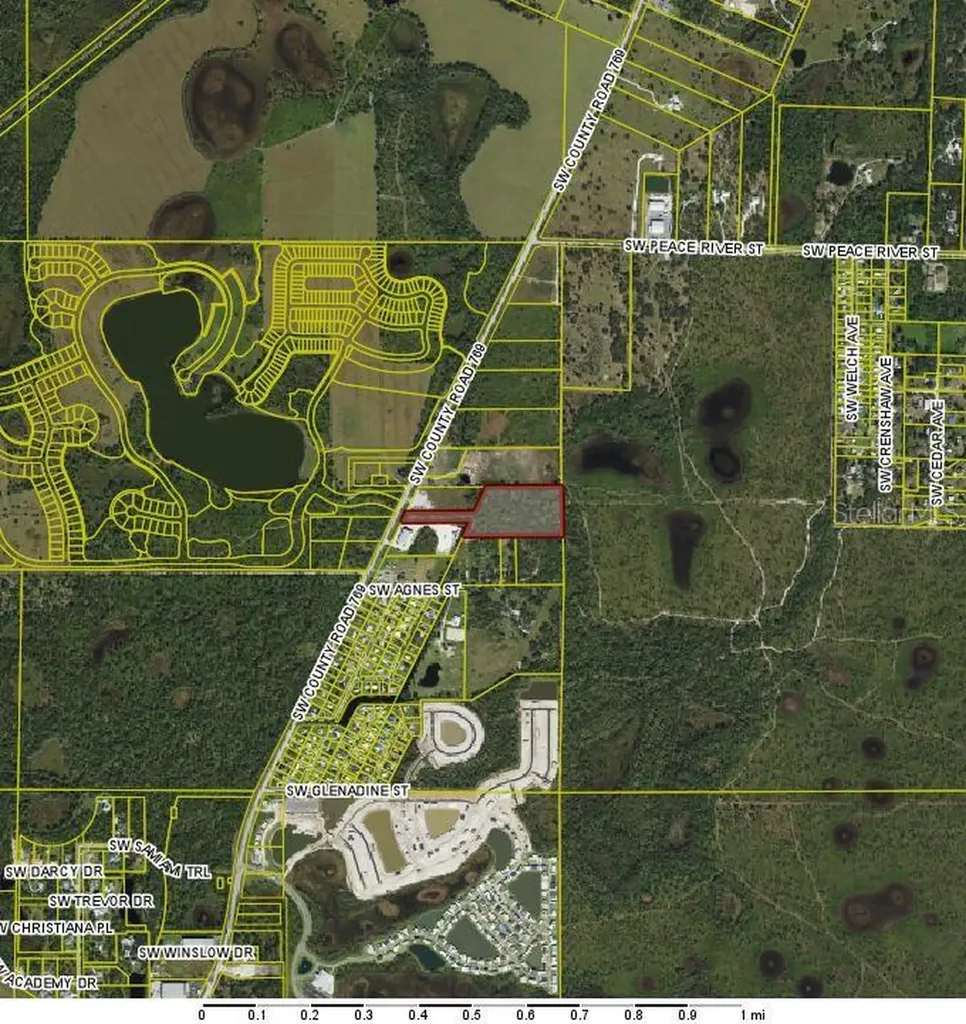 SW Co Road 769 Arcadia FL 34269