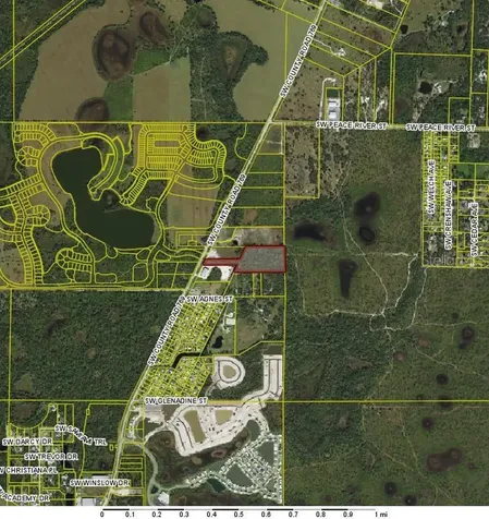 SW Co Road 769 Arcadia FL 34269