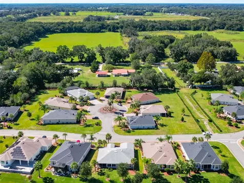 10247 Julia Isles Avenue Oxford FL 34484