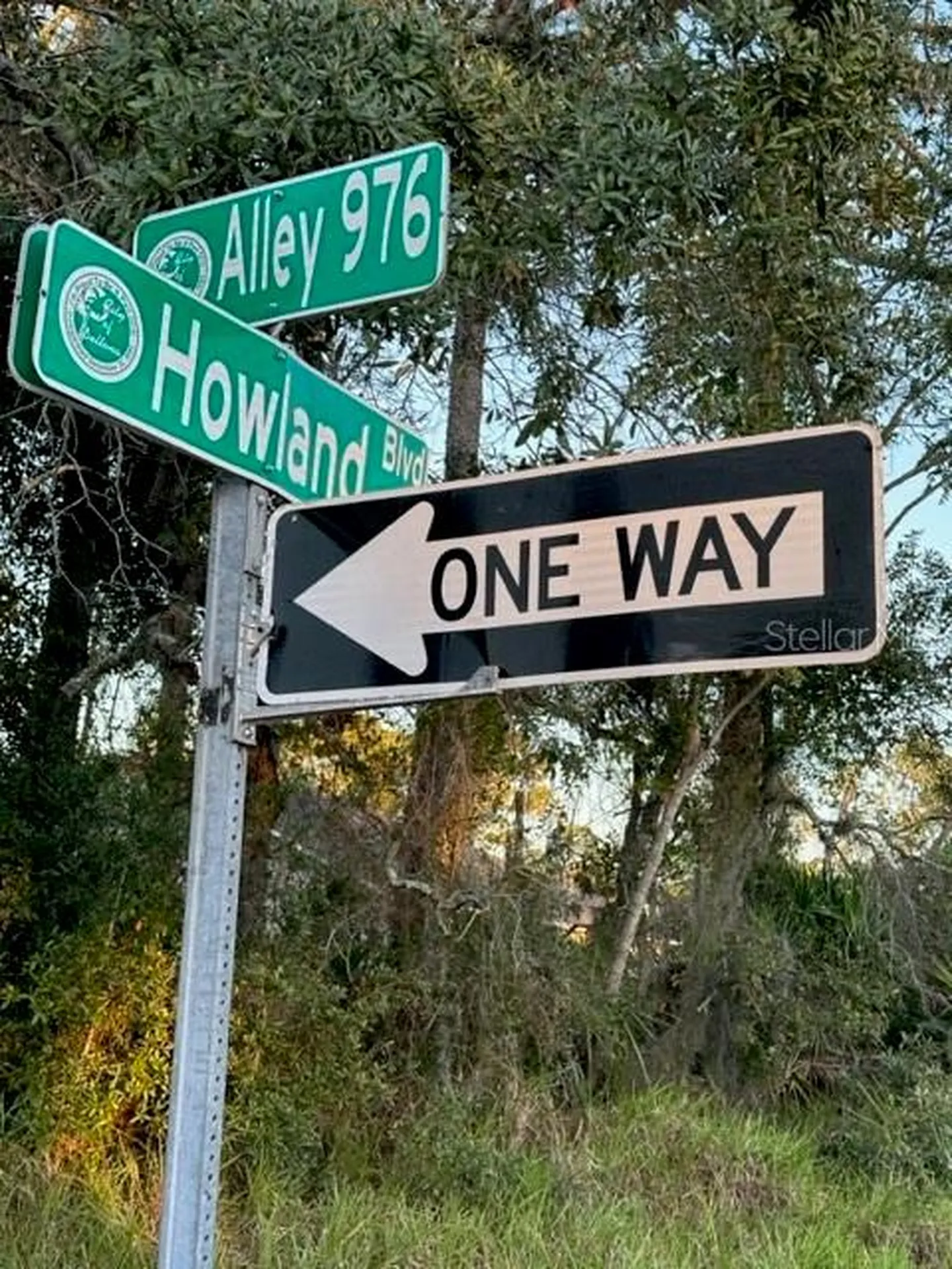 1407 Courtland Boulevard Deltona FL 32738