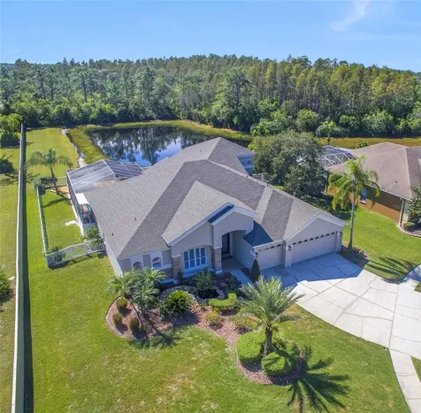 4602 Kilcoyne Court Lutz FL 33558