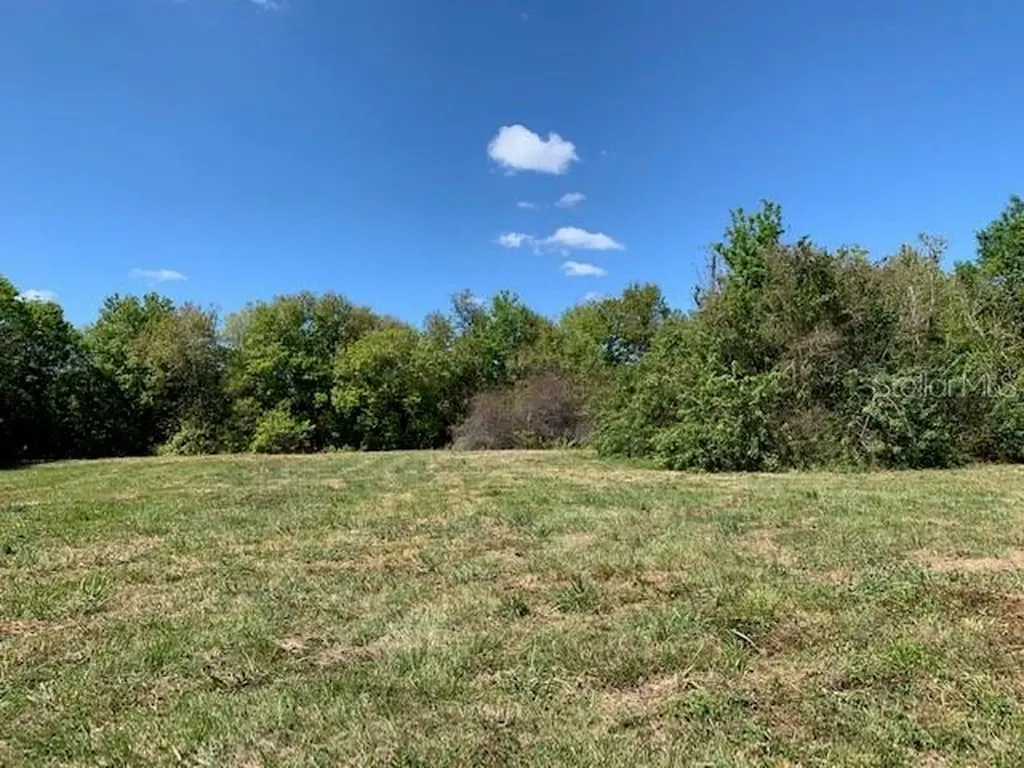 1290 Cinder Lane Kissimmee FL 34744