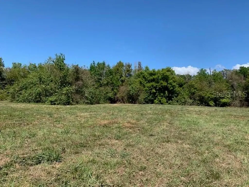1290 Cinder Lane Kissimmee FL 34744