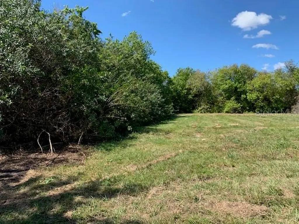 1290 Cinder Lane Kissimmee FL 34744
