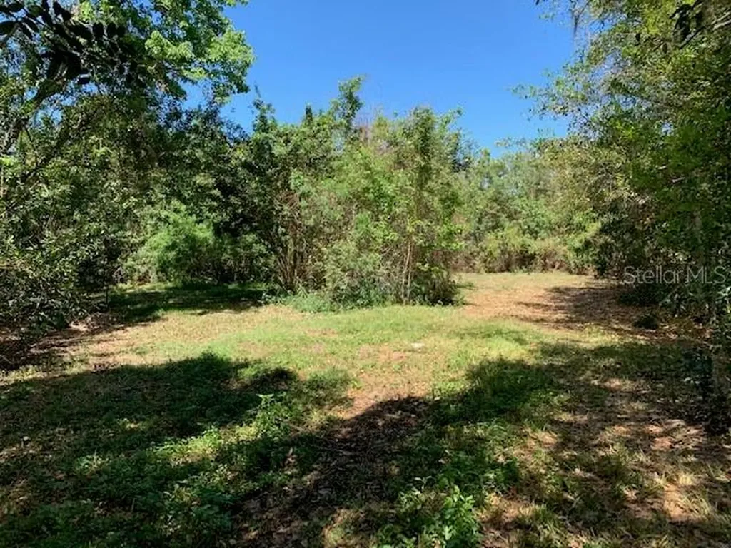 1290 Cinder Lane Kissimmee FL 34744