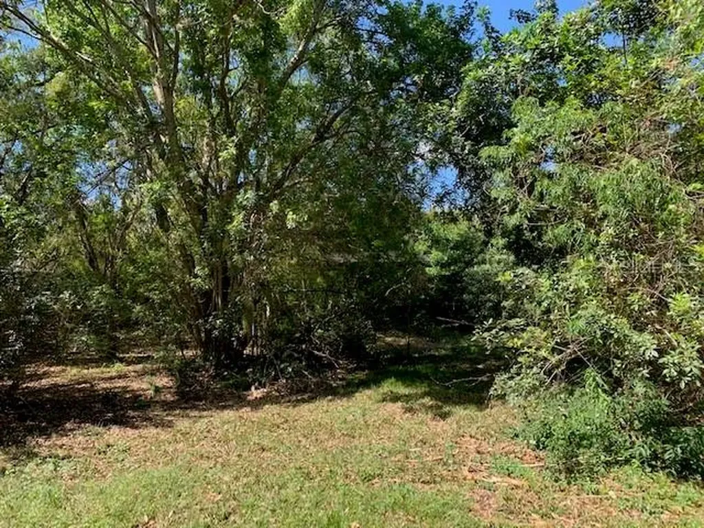 1290 Cinder Lane Kissimmee FL 34744