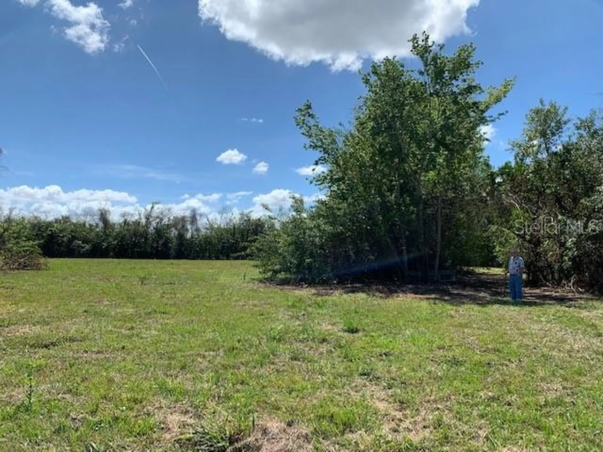 1290 Cinder Lane Kissimmee FL 34744