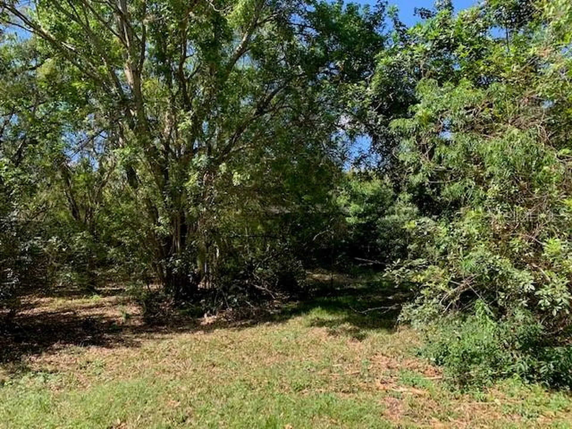 1290 Cinder Lane Kissimmee FL 34744