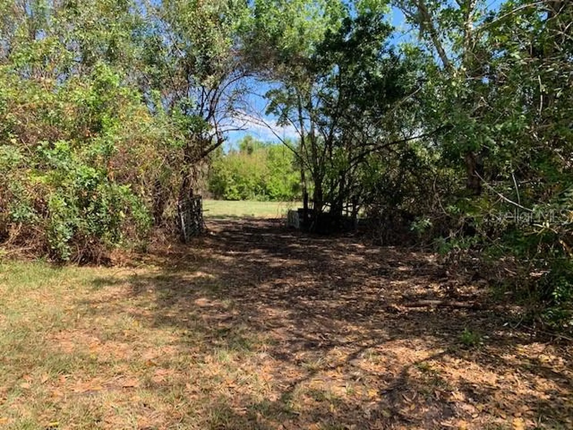 1290 Cinder Lane Kissimmee FL 34744