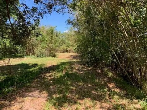 1290 Cinder Lane Kissimmee FL 34744