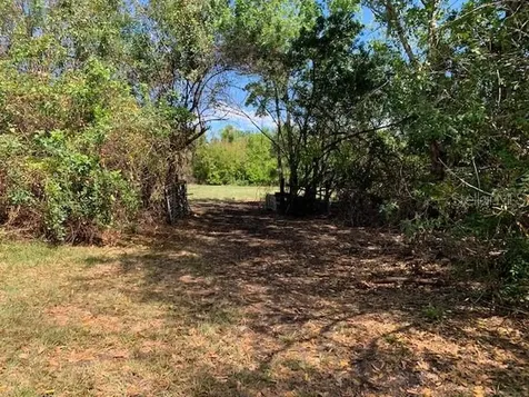 1290 Cinder Lane Kissimmee FL 34744
