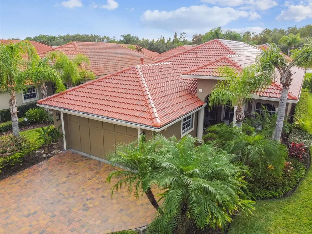14523 Mirasol Manor Court Tampa FL 33626