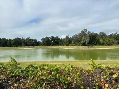 6453 County Road 177 Wildwood FL 34785