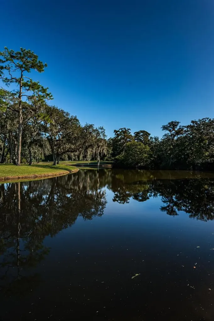 180 Ingrid Place Oldsmar FL 34677
