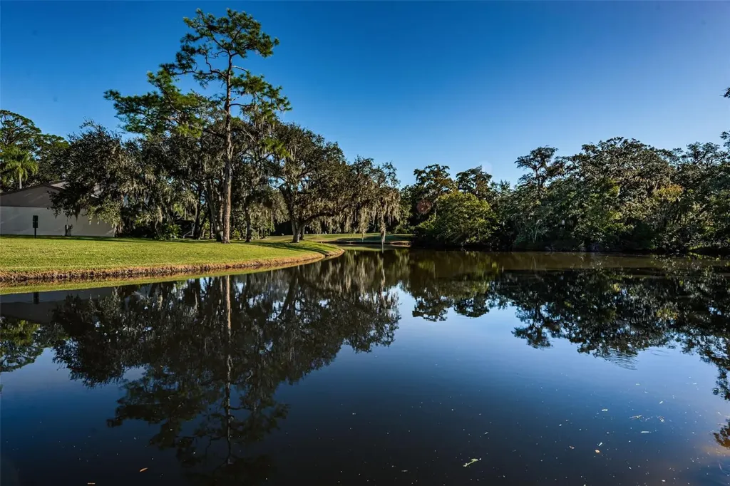 180 Ingrid Place Oldsmar FL 34677