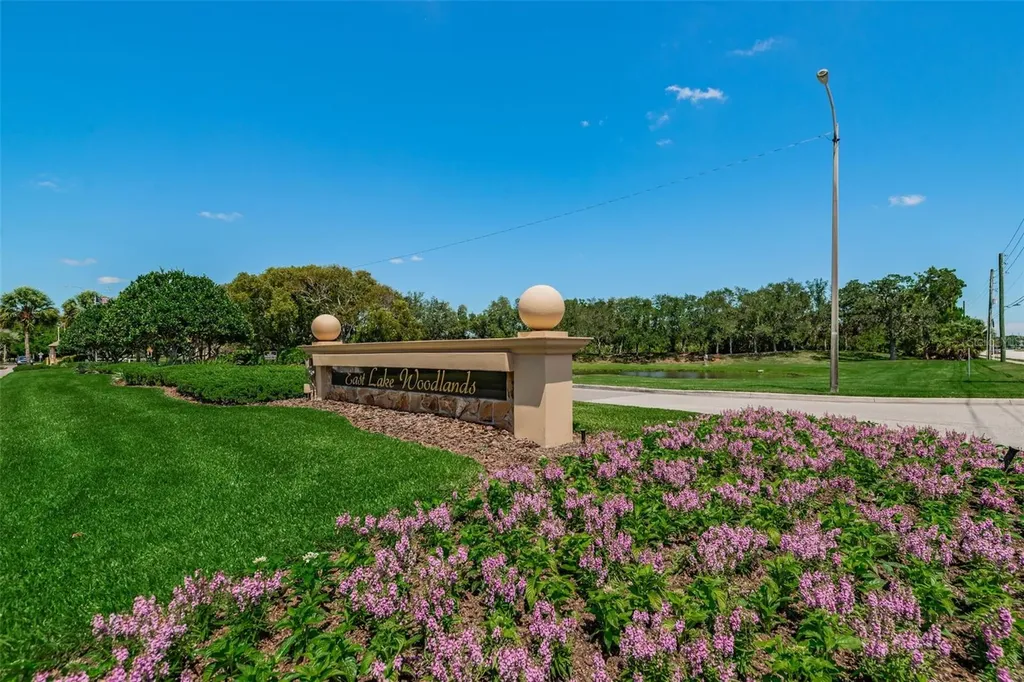 180 Ingrid Place Oldsmar FL 34677