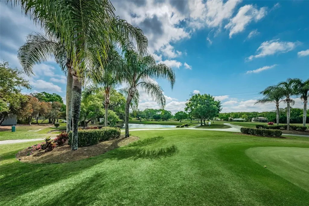 180 Ingrid Place Oldsmar FL 34677