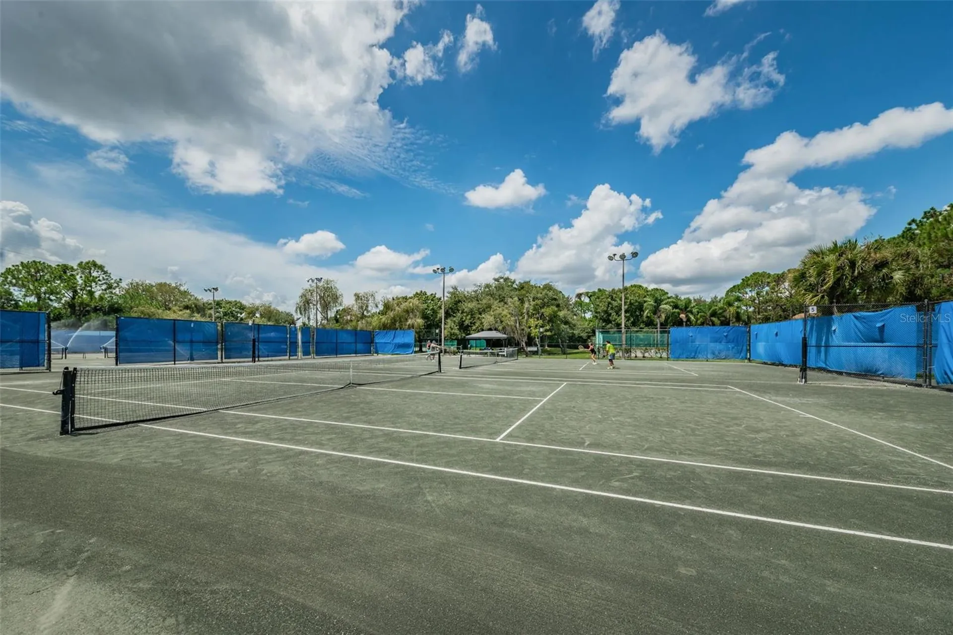 180 Ingrid Place Oldsmar FL 34677