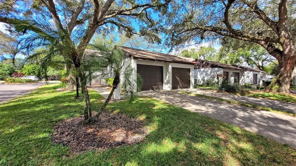 7901 Luxbury Place Tampa FL 33614