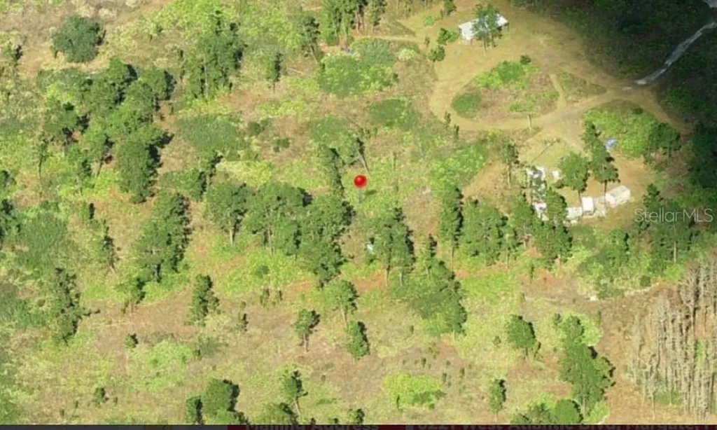 St Cloud FL 34773