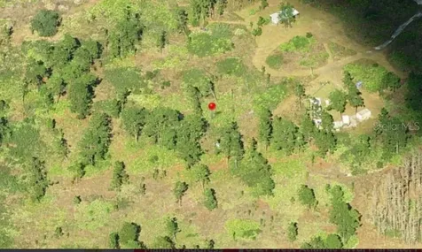 St Cloud FL 34773