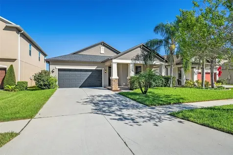 4186 Mount Bandon Drive Land O Lakes FL 34638
