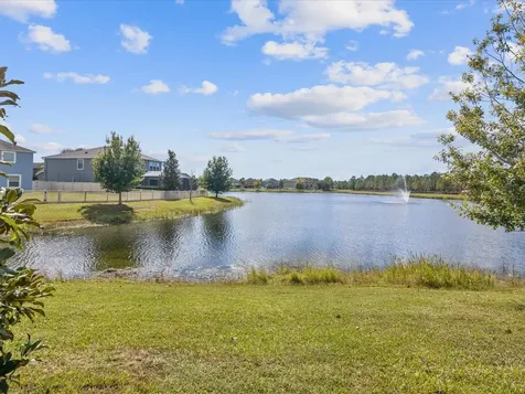 18876 Beautyberry Court Lutz FL 33558
