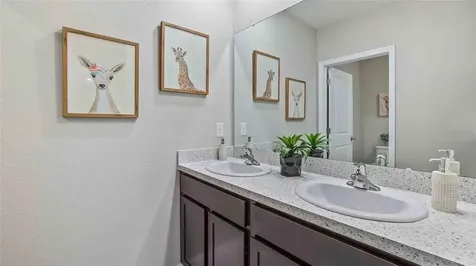 3422 Grassy Knoll Court Plant City FL 33565
