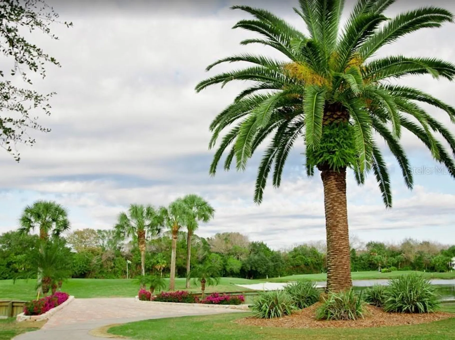 425 Cerromar Terrace Venice FL 34293