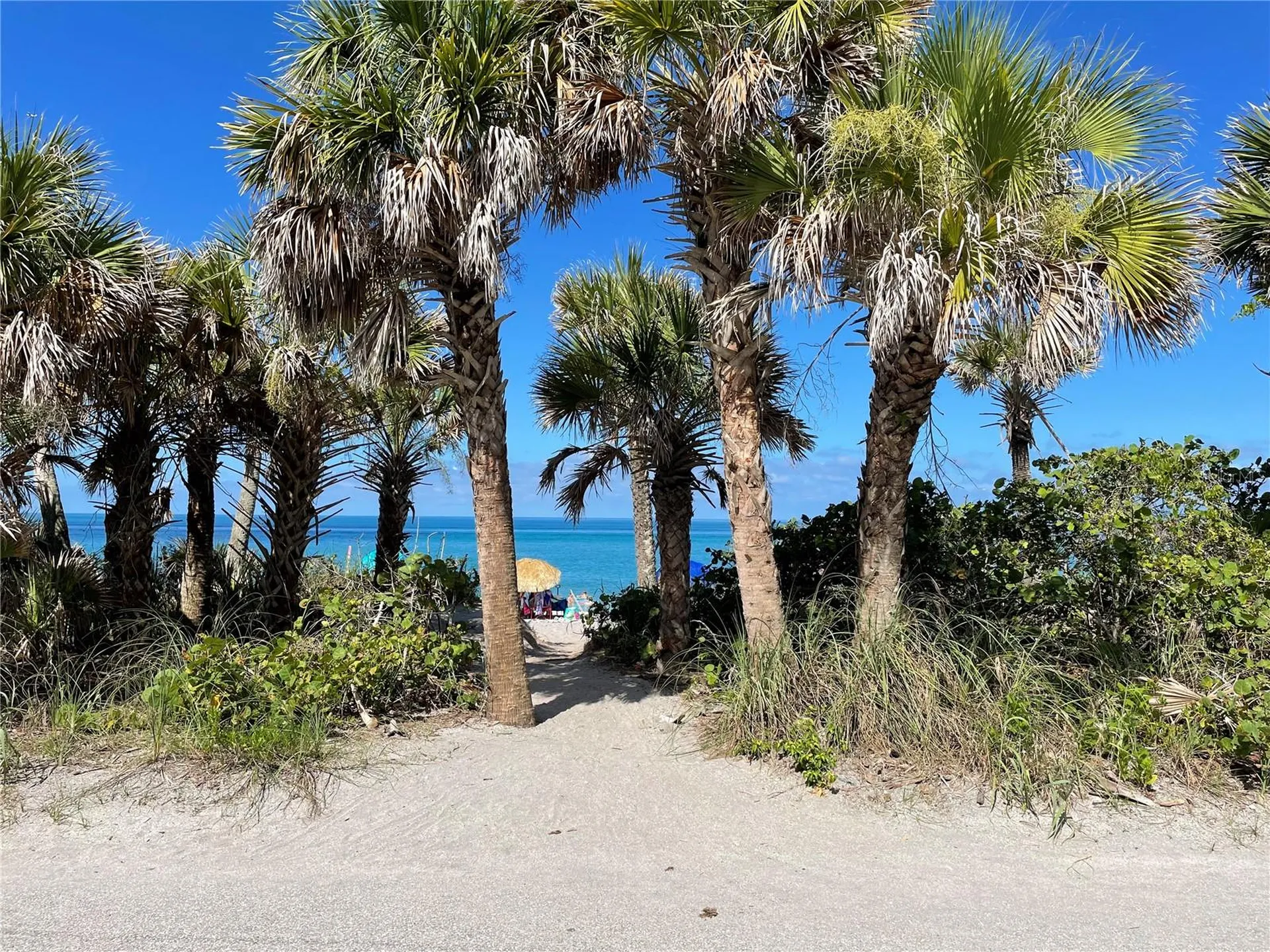 425 Cerromar Terrace Venice FL 34293