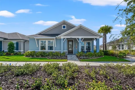 3683 Persimmon Park Drive Wesley Chapel FL 33543